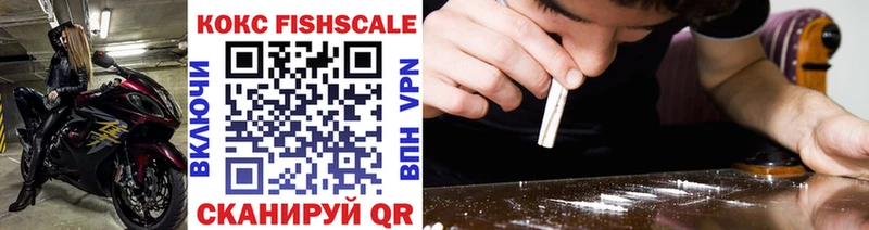 COCAIN Fish Scale  Купить где  Костомукша 