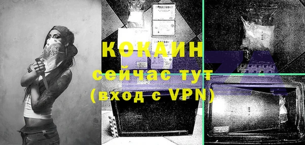 гидра Новозыбков